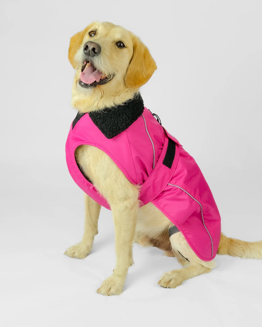 Pink Black Dog Coat
