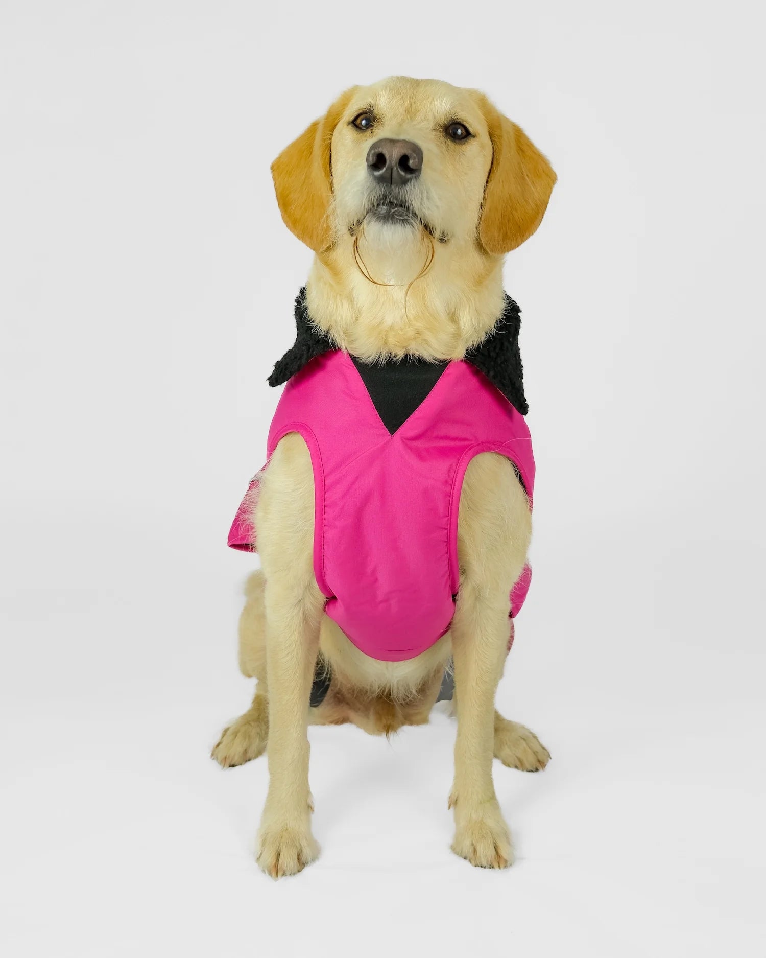 Pink Black Dog Coat