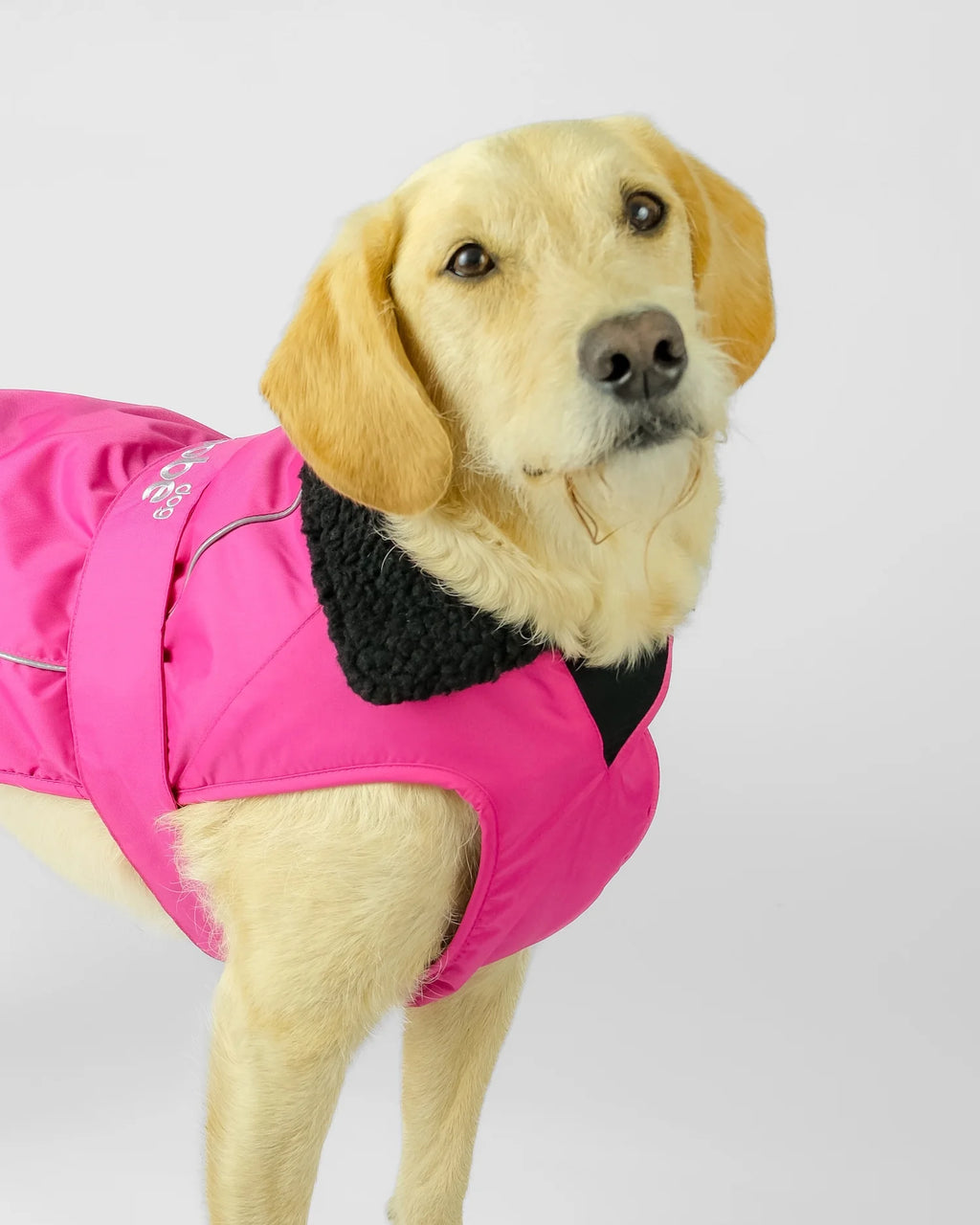 Pink Black Dog Coat
