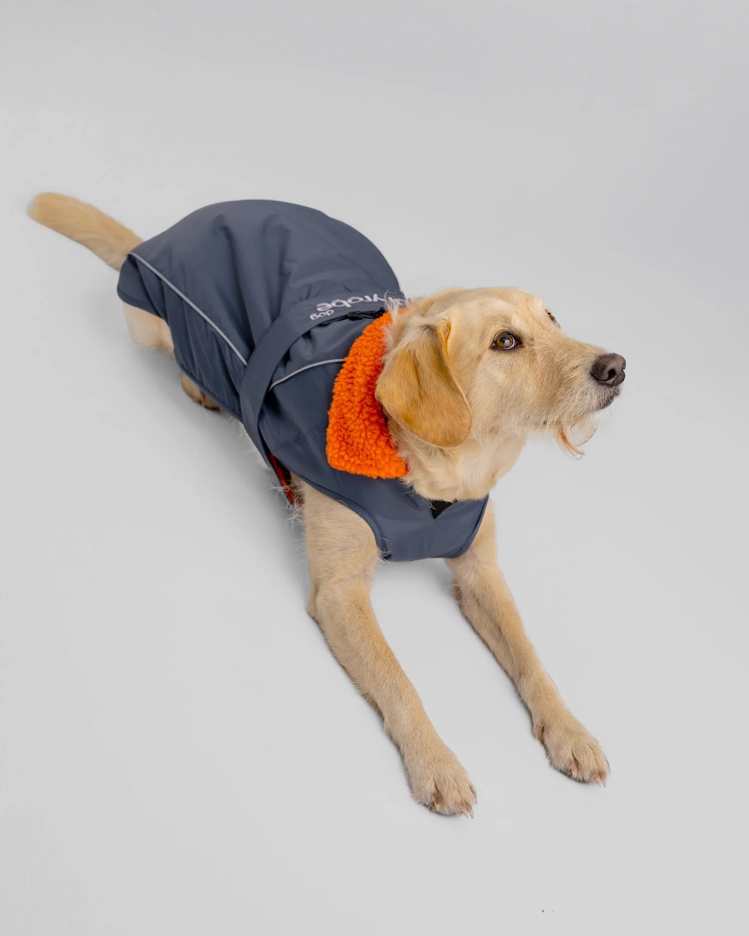 Dark Grey Orange Dog Coat