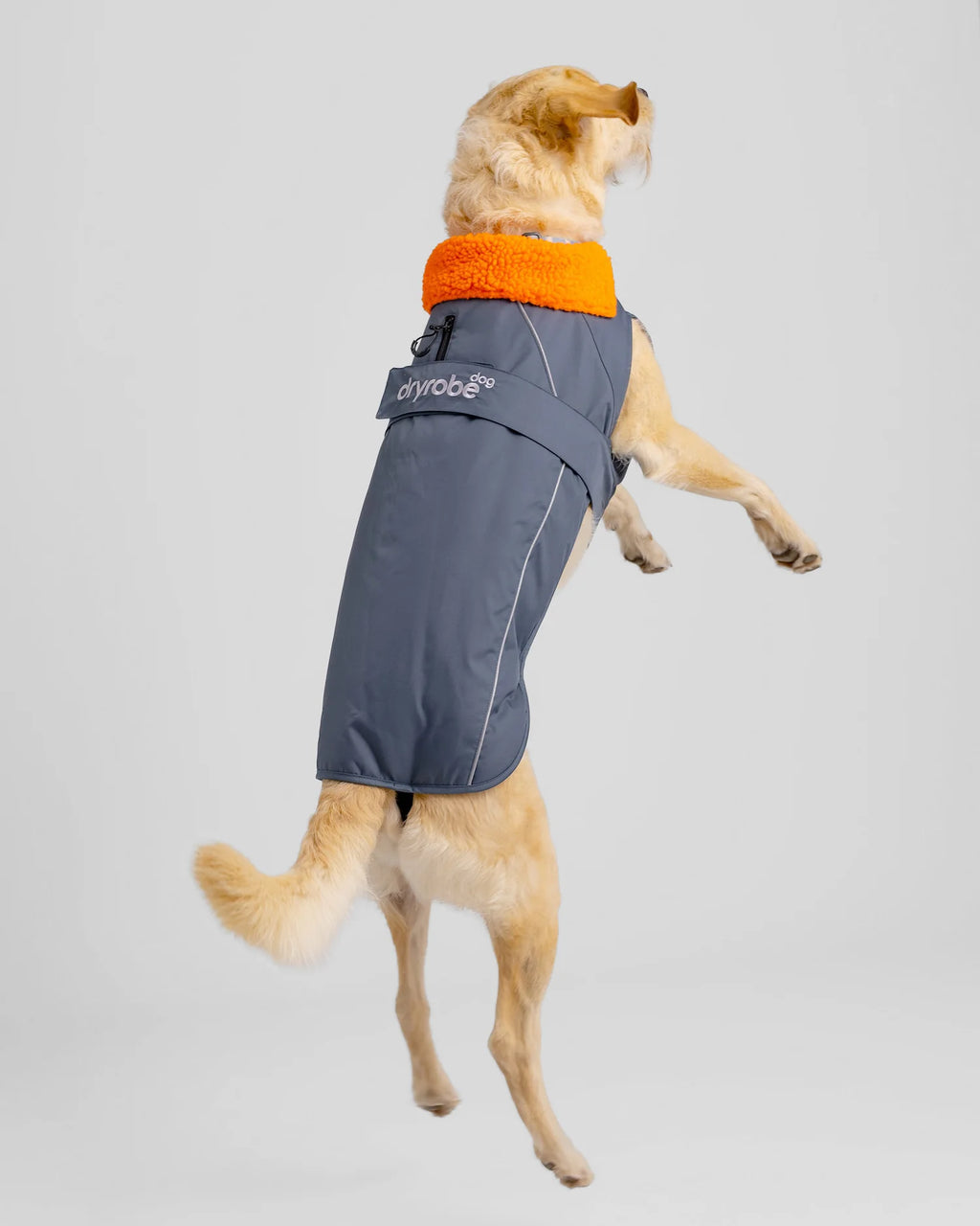 Dark Grey Orange Dog Coat