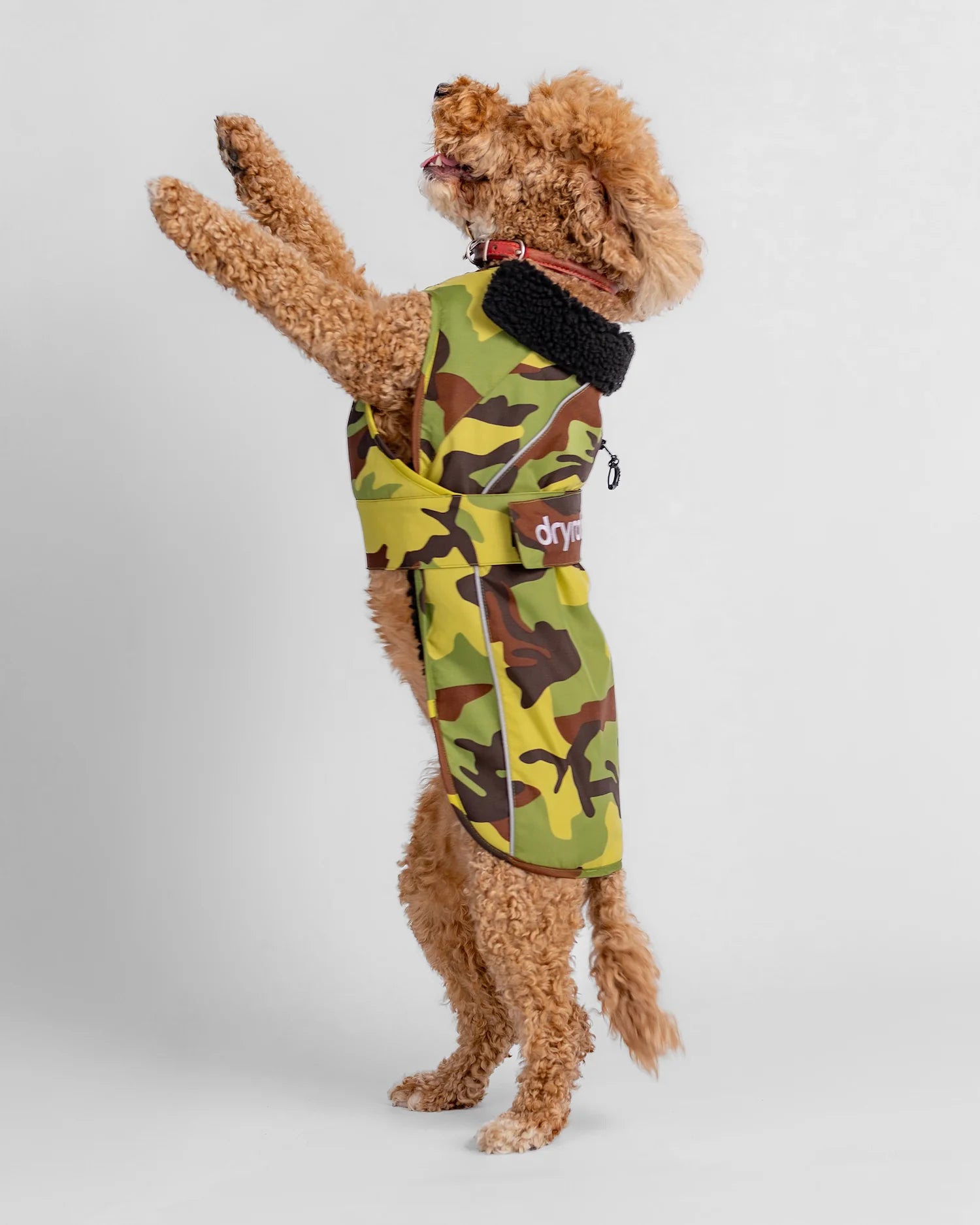 Green Camouflage Black Dog Coat