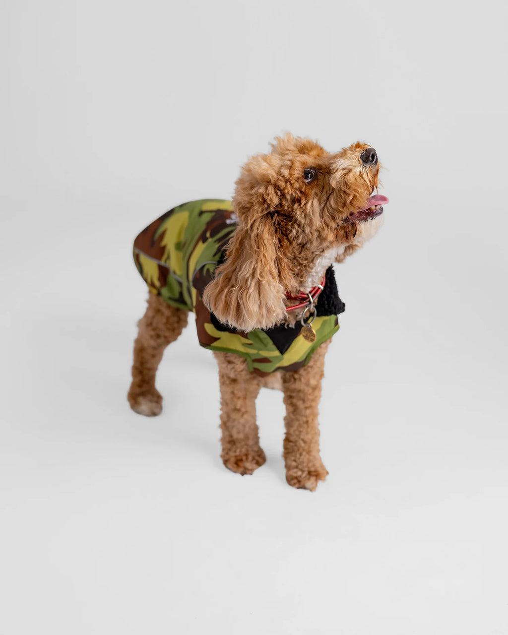 Green Camouflage Black Dog Coat