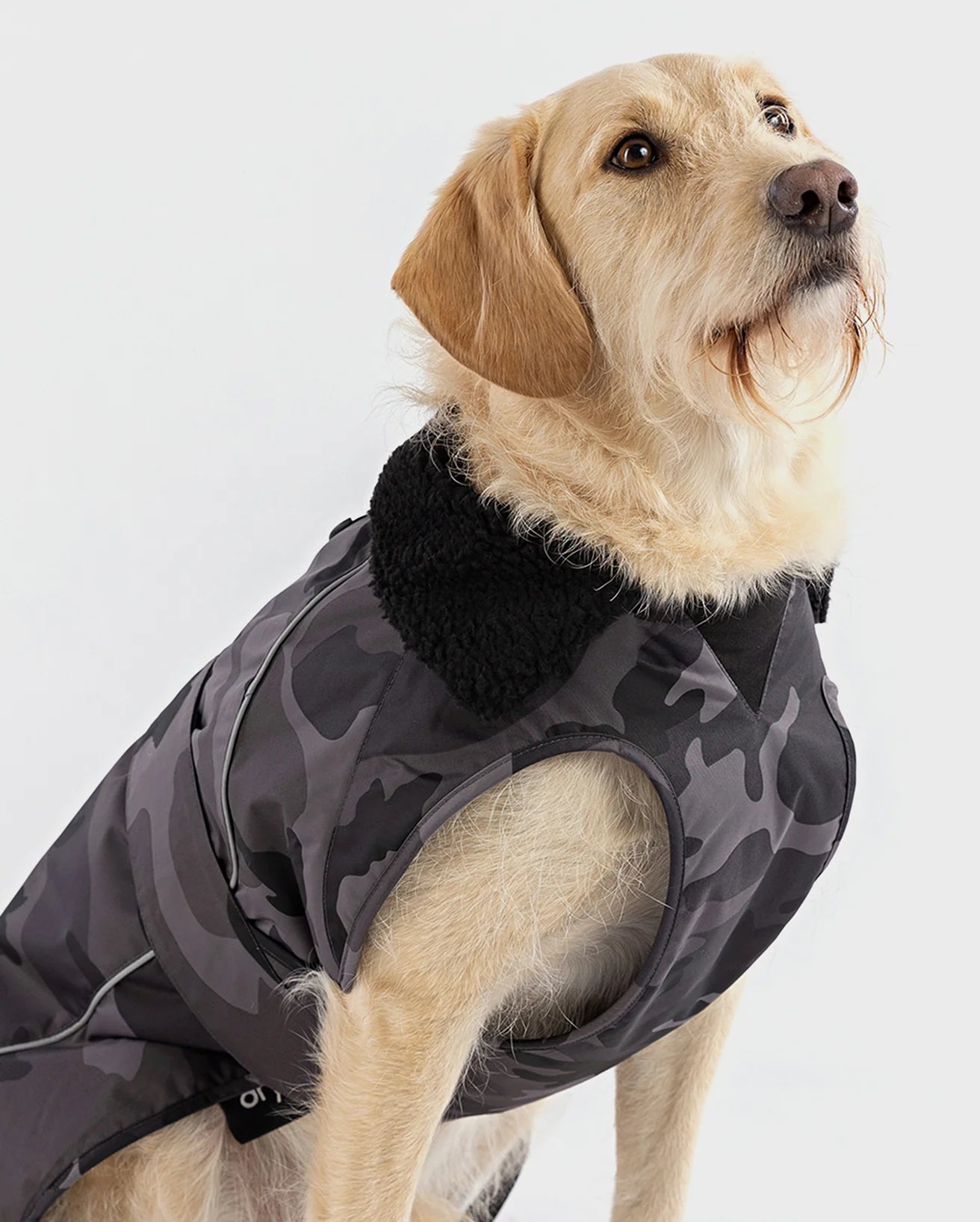 Black Camo Dog Coat