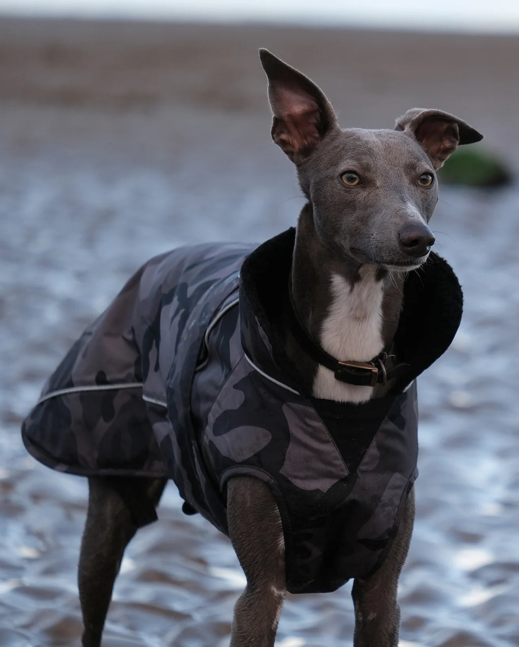 Black Camo Dog Coat