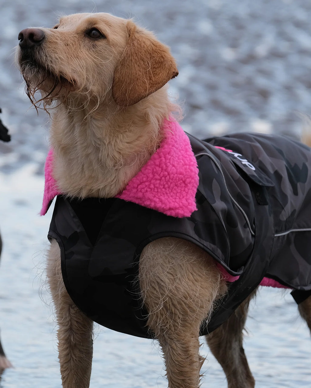 Black Camo Pink Dog Coat