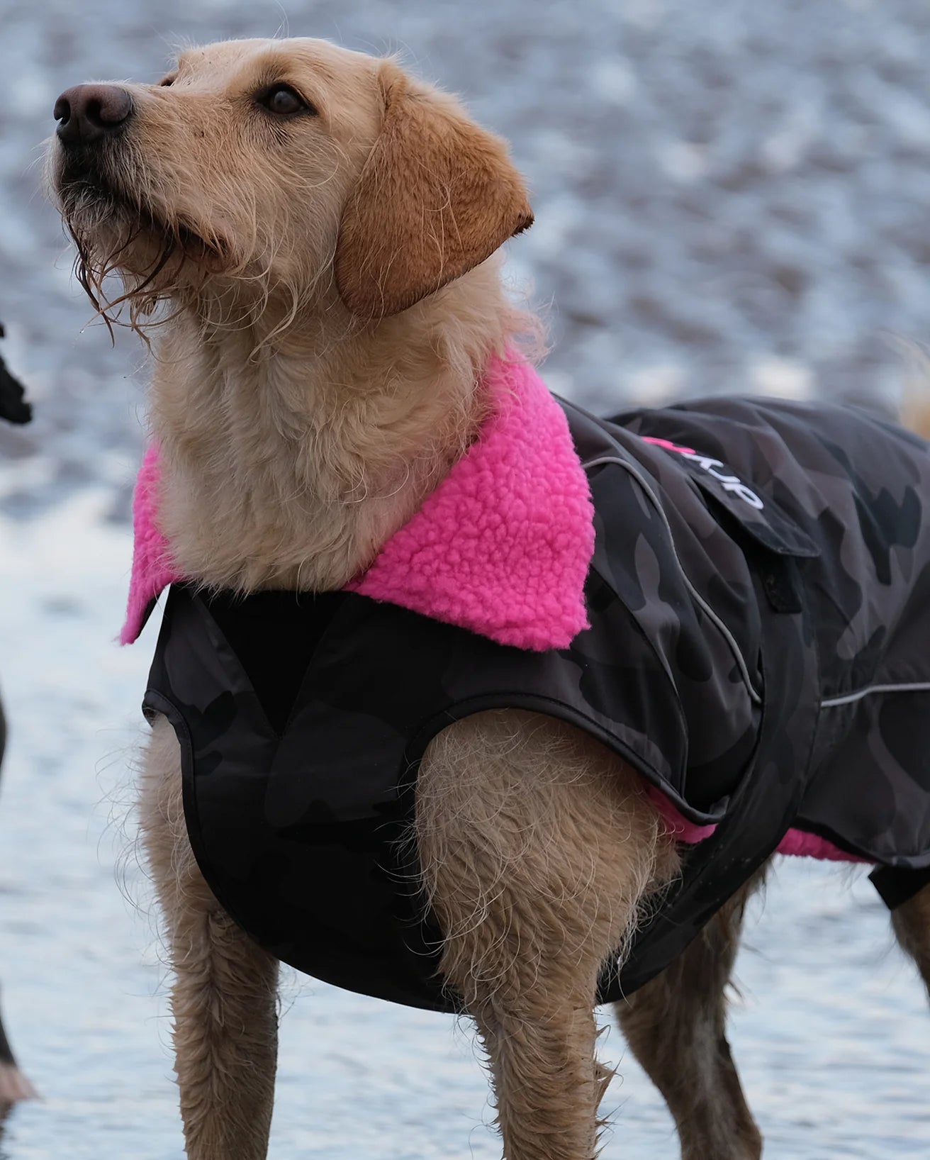 Black Camo Pink Dog Coat