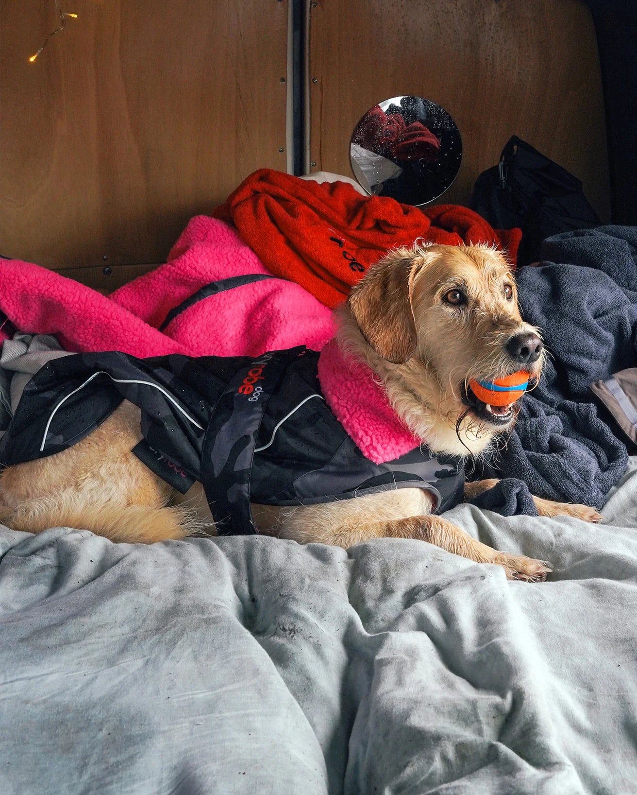 Black Camo Pink Dog Coat