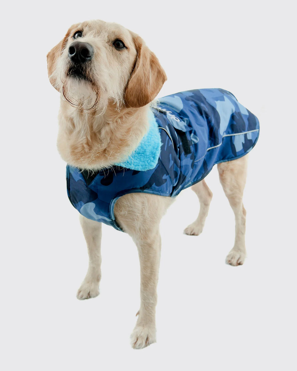 Blue Camo Dog Coat