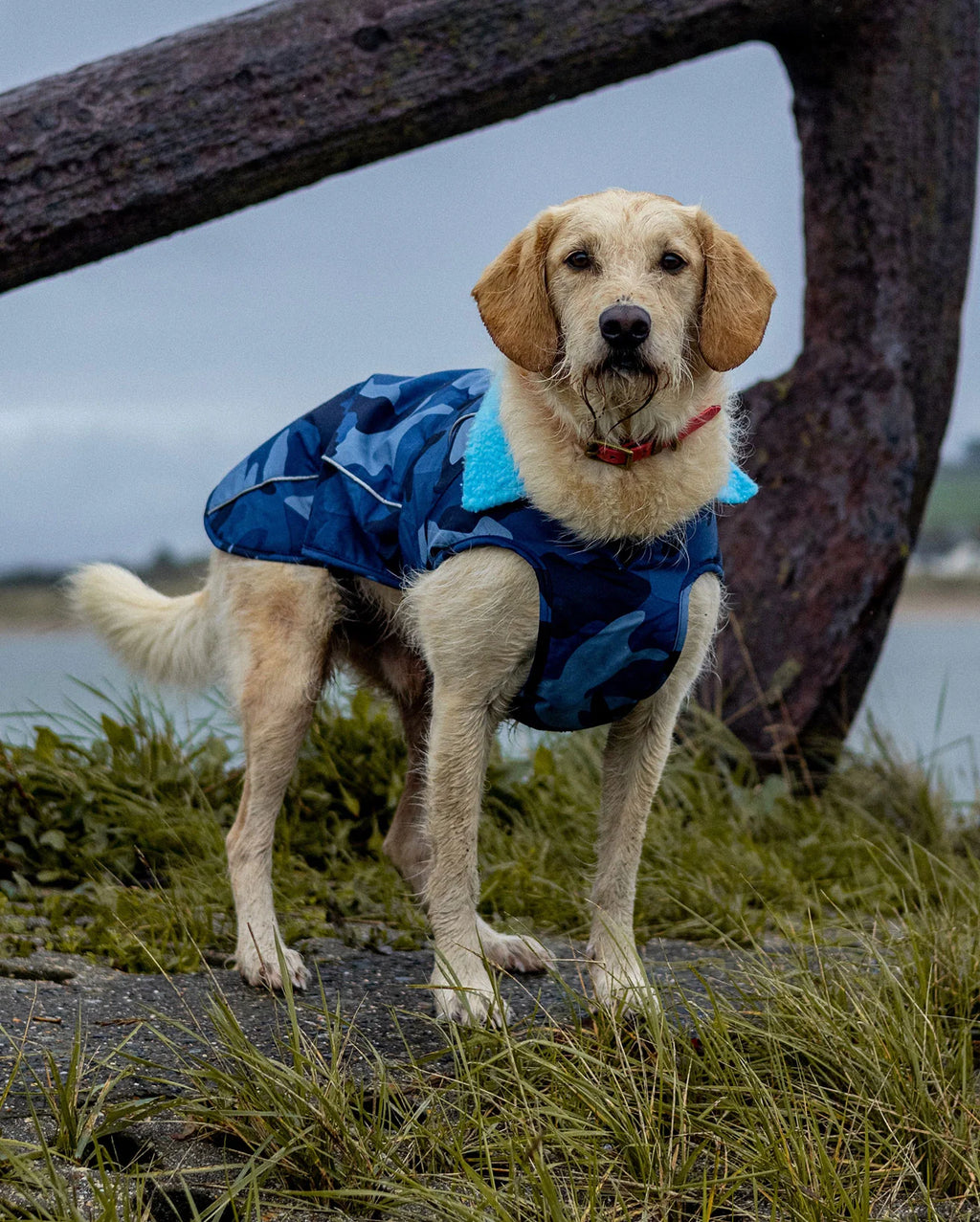 Blue Camo Dog Coat