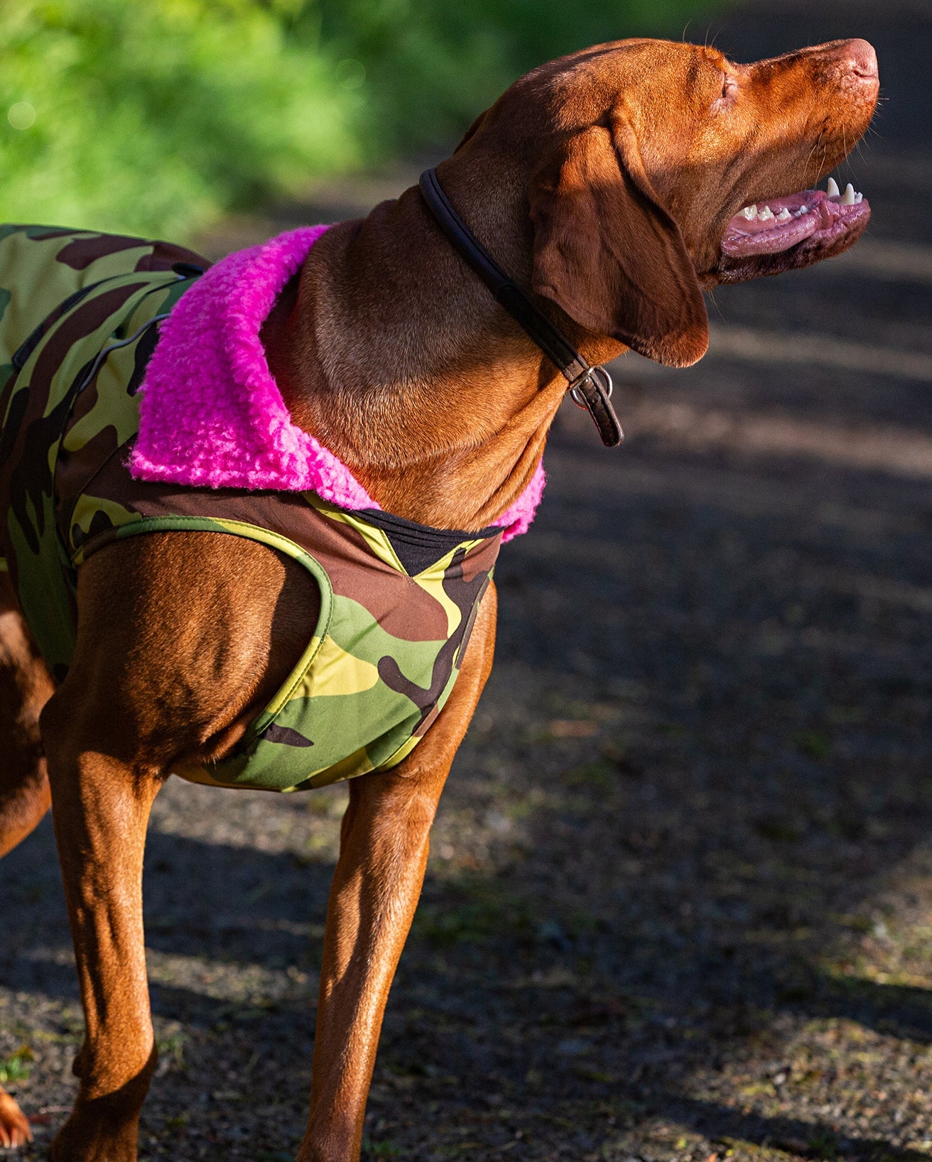 Camo Pink Dog Coat
