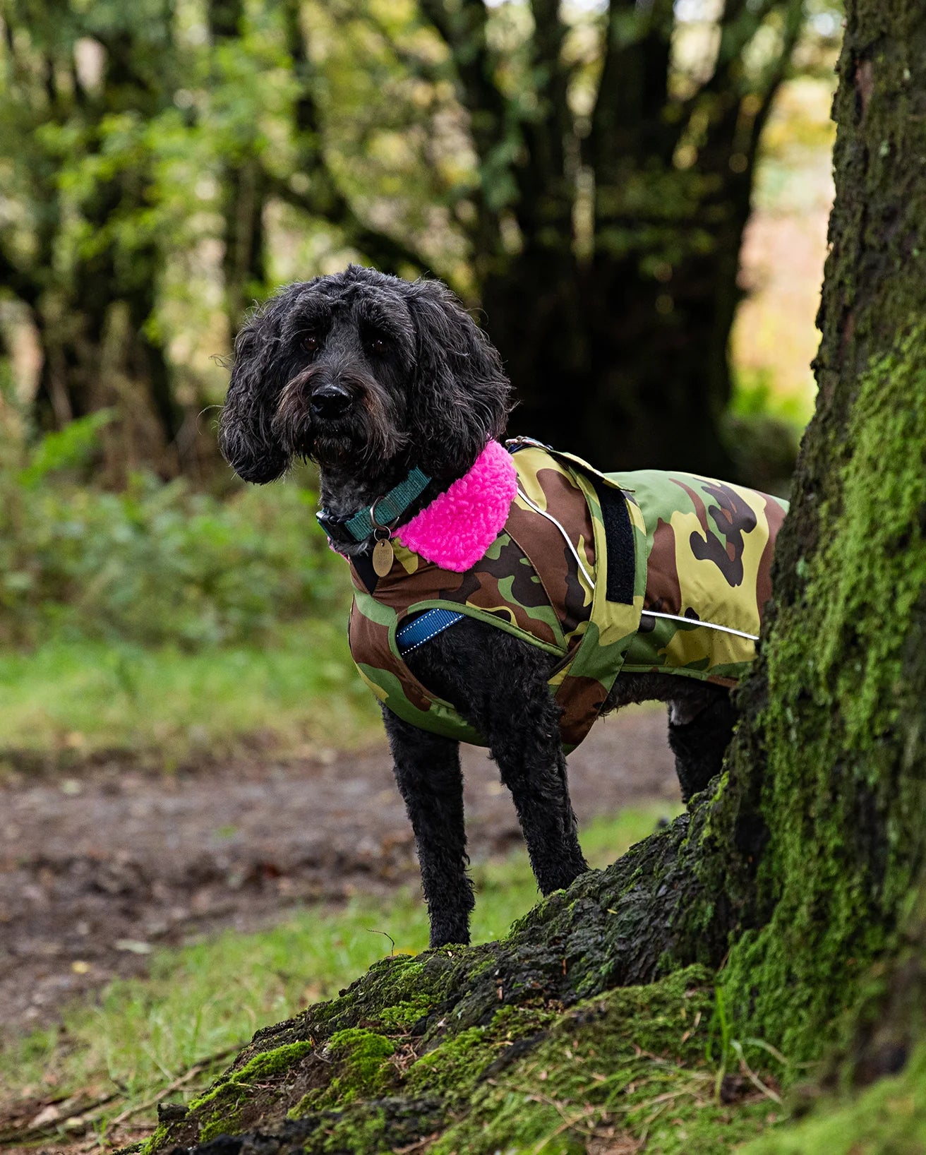 Camo Pink Dog Coat